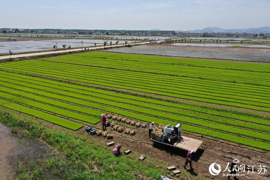 ���υ^(q��)���N�Z����e�O��ץ�����r�C��ȫ���ӿ�ˮ������M(j��n)�������s�z