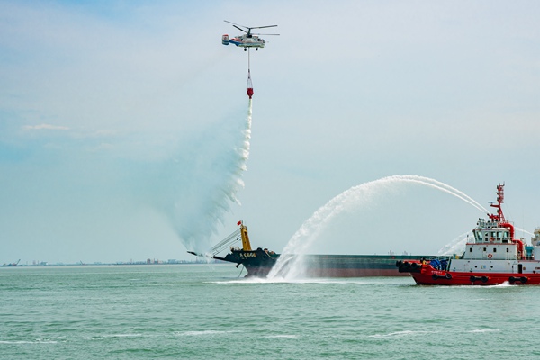 �D�������F(xi��n)���������^(q��)���D