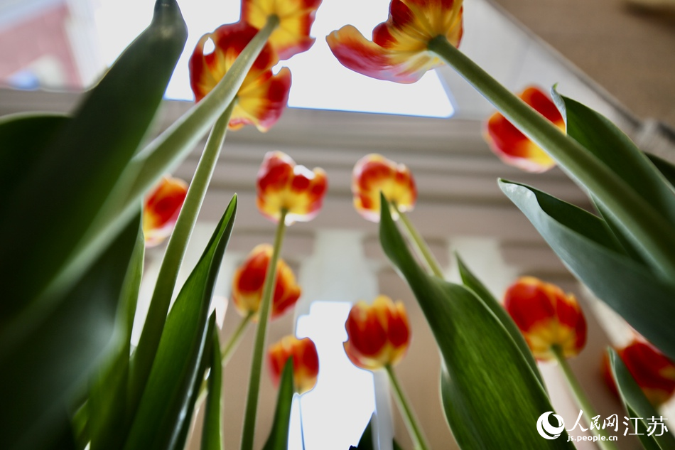 �������������Դ��S���m������������h(hu��n)�@�� �R�c�c�z