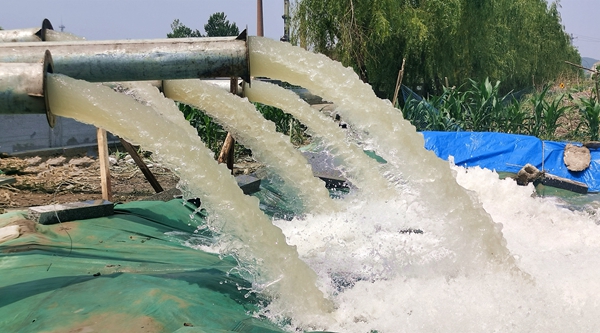 ��ɽ�(zh��n)�|�T��^(q��)��Ⱥ���{ˮ���������ƿhί���������D