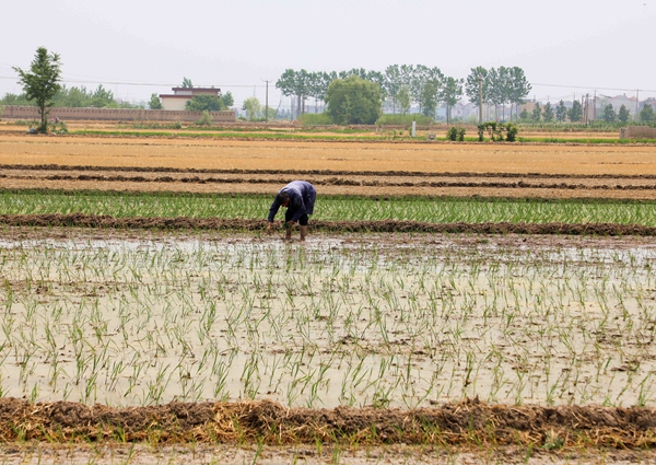 �r(n��ng)�����a��p�p�����ƿhί���������D