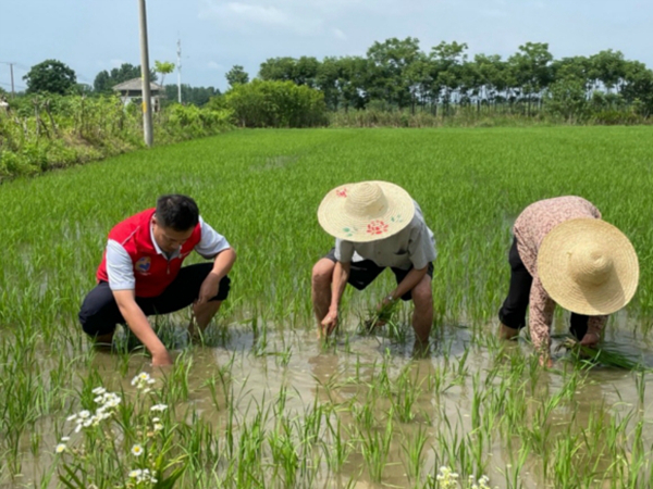 黨員志愿者服務(wù)隊開展幫農(nóng)助農(nóng)活動。浦口煙草供圖