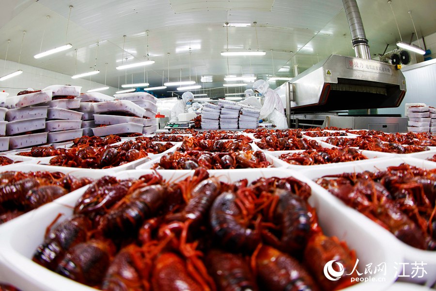 工人正在將加工后的小龍蝦擺放入盤。許昌亮攝