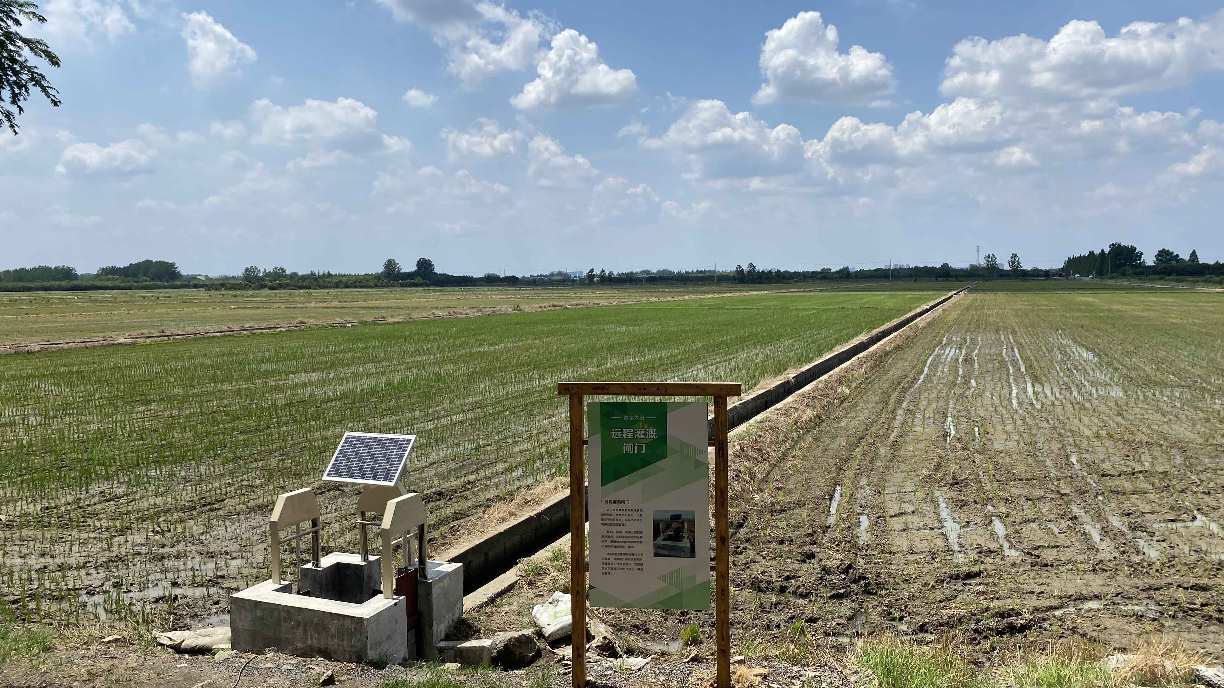 湯泉農(nóng)場智慧大田。人民網(wǎng) 楊維瓊攝