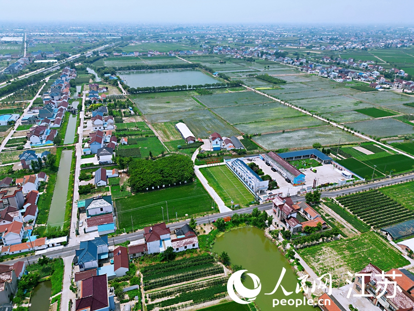 航拍江蘇省級特色田園鄉(xiāng)村—海安市富港村。人民網(wǎng)記者 王繼亮攝