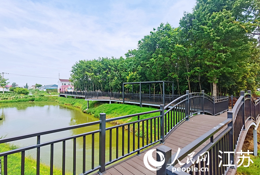 江蘇海安市富港村小游園一景。人民網(wǎng)記者 王繼亮攝