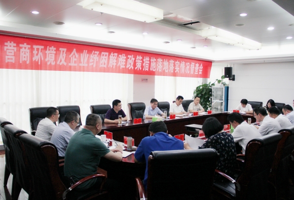 督查會(huì)現(xiàn)場(chǎng)。陳琳攝