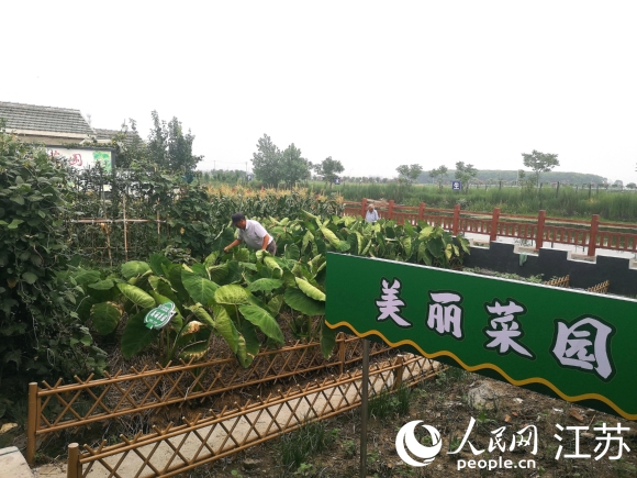 村民家門(mén)口的美麗菜園。 人民網(wǎng) 張玉峰攝