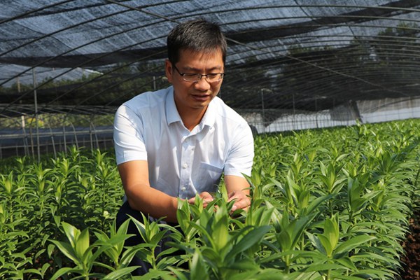 郝大寶在田間研究花卉生長情況。東?？h委宣傳部供圖_副本