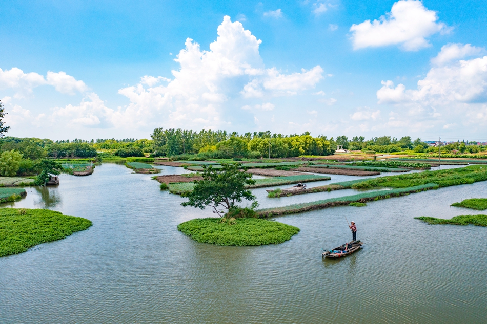 村民撐船前往垛田勞作。周社根攝