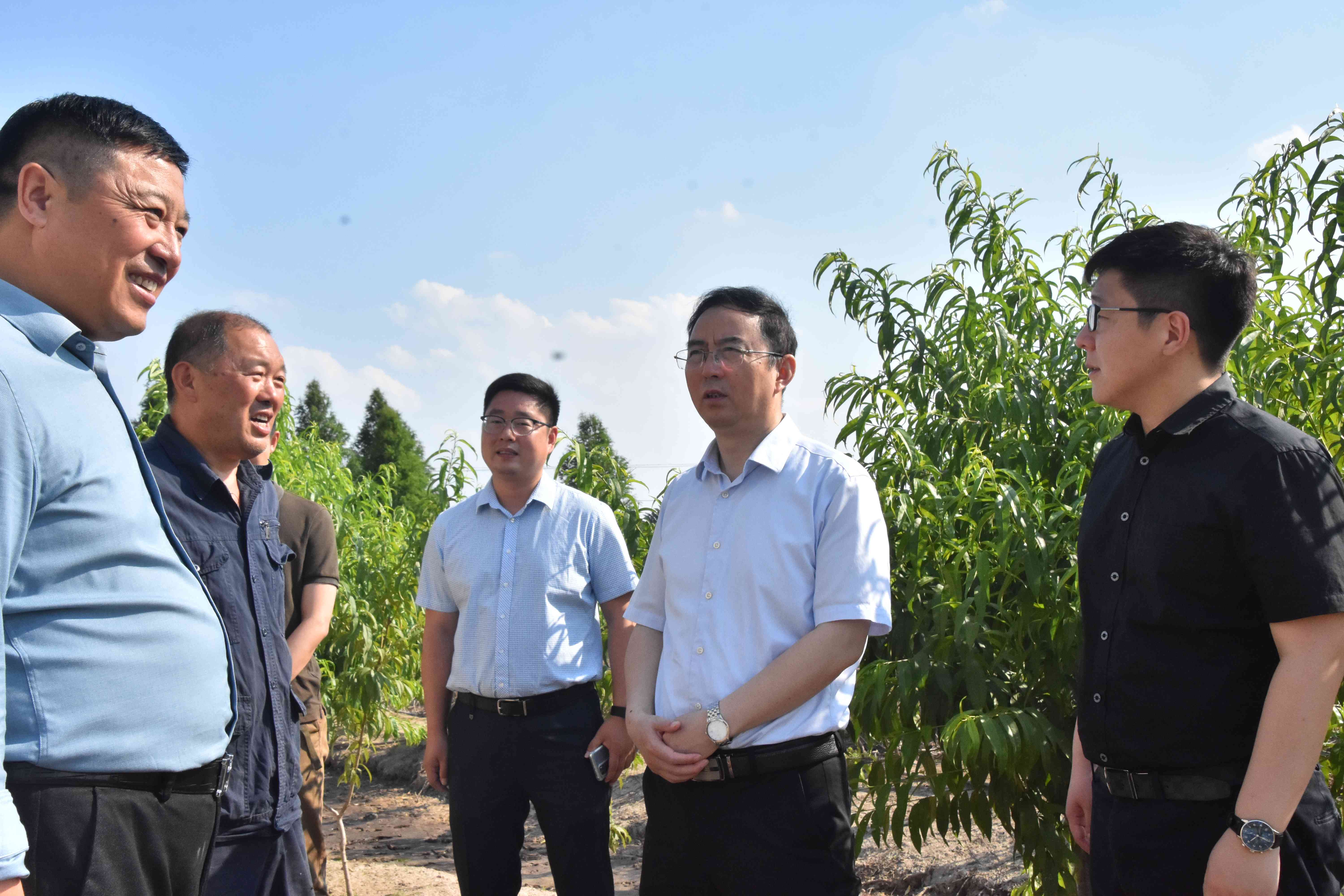 亭湖區(qū)區(qū)委常委、區(qū)紀委書記、區(qū)監(jiān)委主任王愛軍深入田間地頭，調(diào)研土地流轉(zhuǎn)以案促改情況。姜娟攝