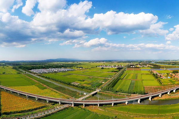 筑夢(mèng)沃野展新顏。秦翰攝