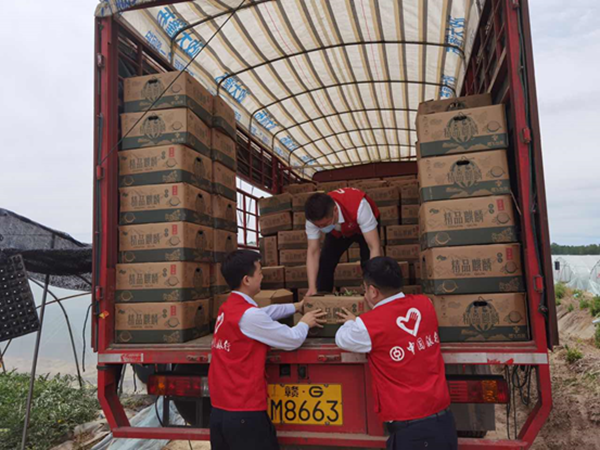 中國銀行鹽城分行開展暖心助農(nóng)行動，幫助瓜農(nóng)收獲銷售西瓜。中行鹽城分行供圖