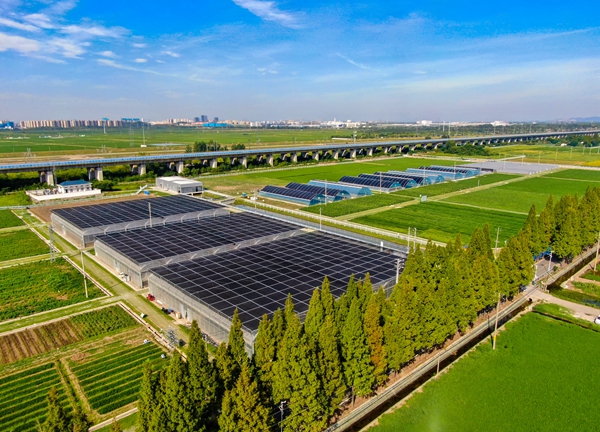 南京國(guó)家農(nóng)創(chuàng)中心西江口孵化展示基地。浦口區(qū)委宣傳部供圖