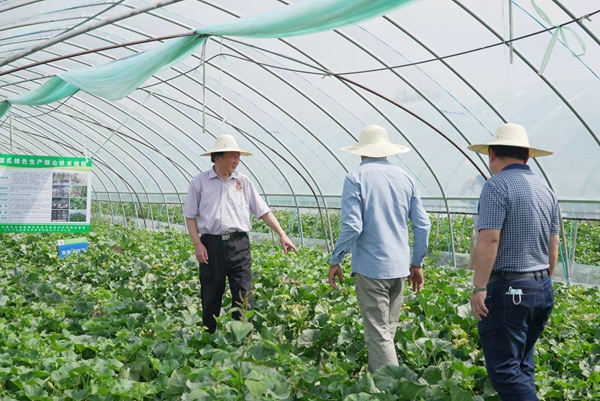 中國(guó)工程院院士、南京農(nóng)業(yè)大學(xué)資源與環(huán)境科學(xué)學(xué)院教授沈其榮（左一）為浦口瓜農(nóng)“現(xiàn)場(chǎng)傳藝”。浦口區(qū)委宣傳部供圖
