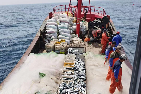 開漁期贛榆漁民出海捕撈作業(yè)。贛榆區(qū)委宣傳部供圖(1)