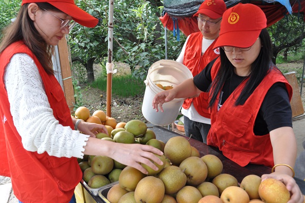 志愿者幫助曹大爺整理攤頭。鹽城煙草供圖。