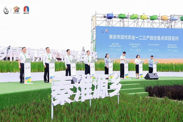 圖為活動現(xiàn)場。江寧區(qū)委宣傳部供圖