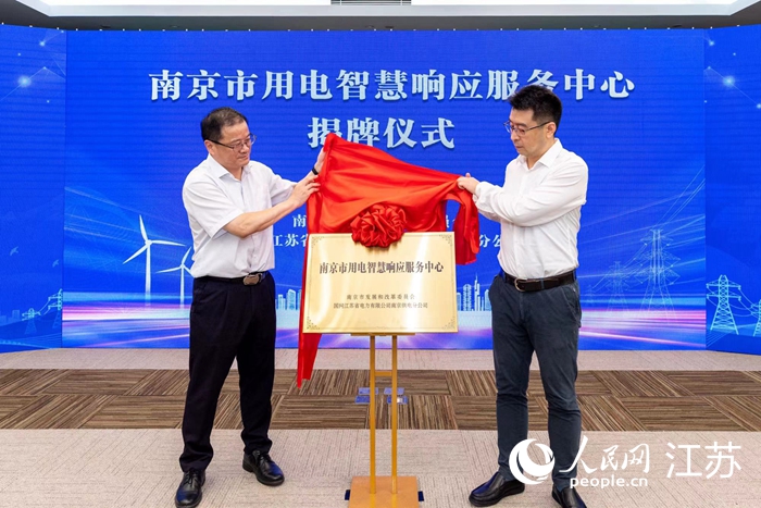 圖為活動(dòng)現(xiàn)場(chǎng) 。國(guó)網(wǎng)南京電力供圖