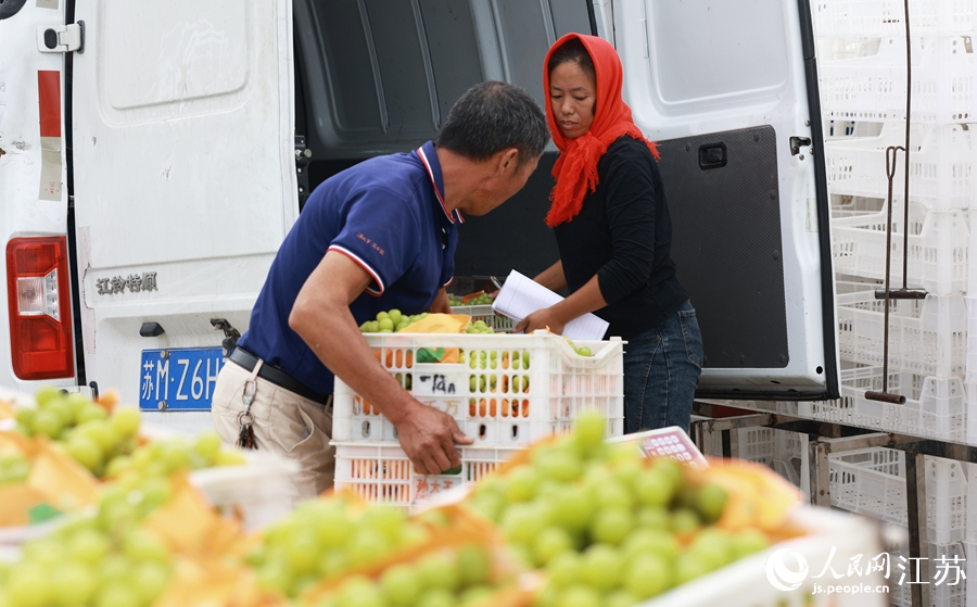 當地村民正在采摘葡萄。史道智攝