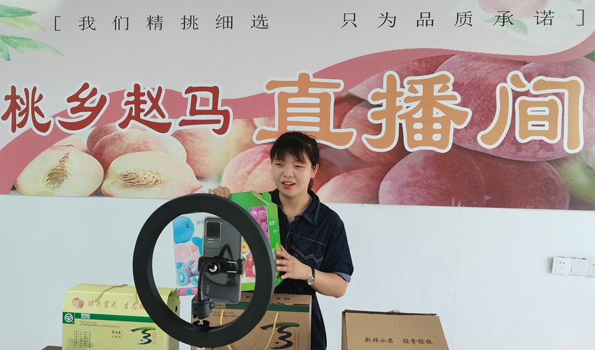 泗洪縣村居干部開展助農(nóng)直播銷售。金響龍攝