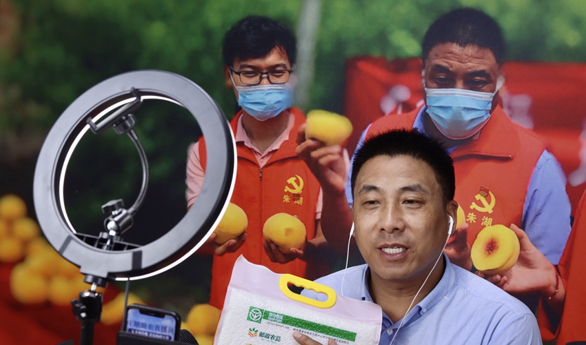 朱湖鎮(zhèn)莊塘村干部在直播。金響龍攝