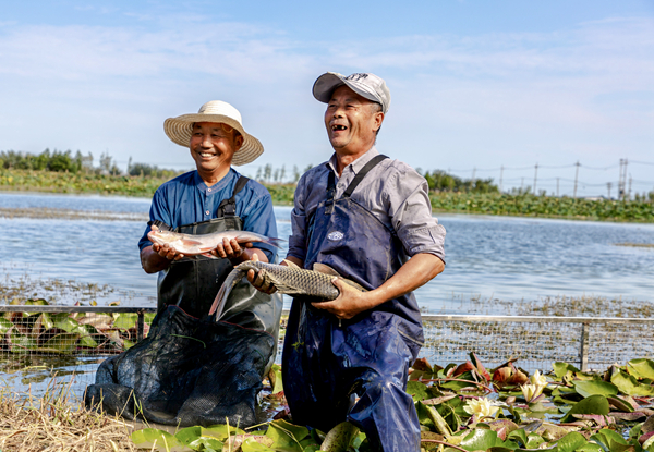 湖鮮既是本次豐收節(jié)的產(chǎn)品，也成為游客互動(dòng)項(xiàng)目的亮點(diǎn)。  建湖縣農(nóng)業(yè)農(nóng)村局供圖