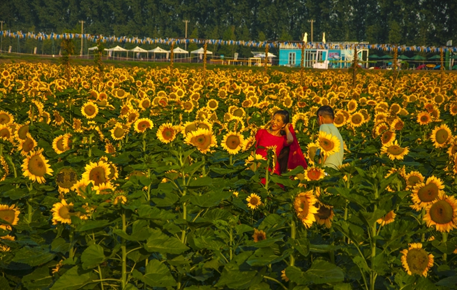 云上游，奇妙老山話題熱。浦口區(qū)文旅局供圖