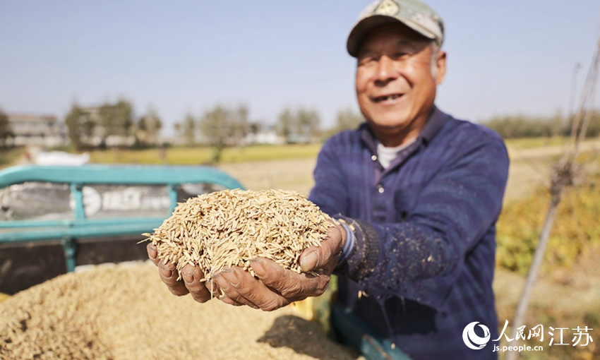 村民展示剛剛收獲的水稻。司偉攝