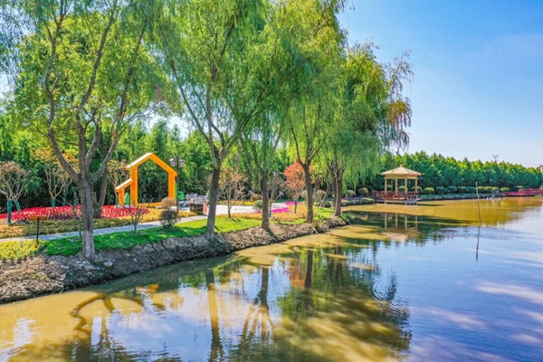 圖為西來(lái)鎮(zhèn)豐產(chǎn)村河道。盛義攝