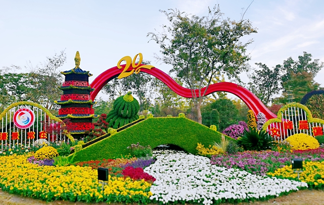 第32屆南通菊花展將于10月31日對(duì)外開放。人民網(wǎng)記者 王繼亮攝