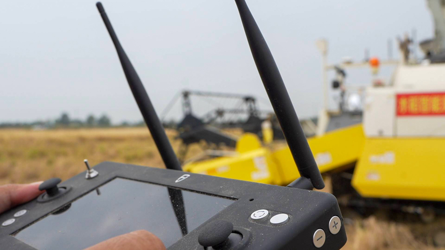 農(nóng)業(yè)科技人員遙控指揮無人駕駛收割機(jī)。趙天攝