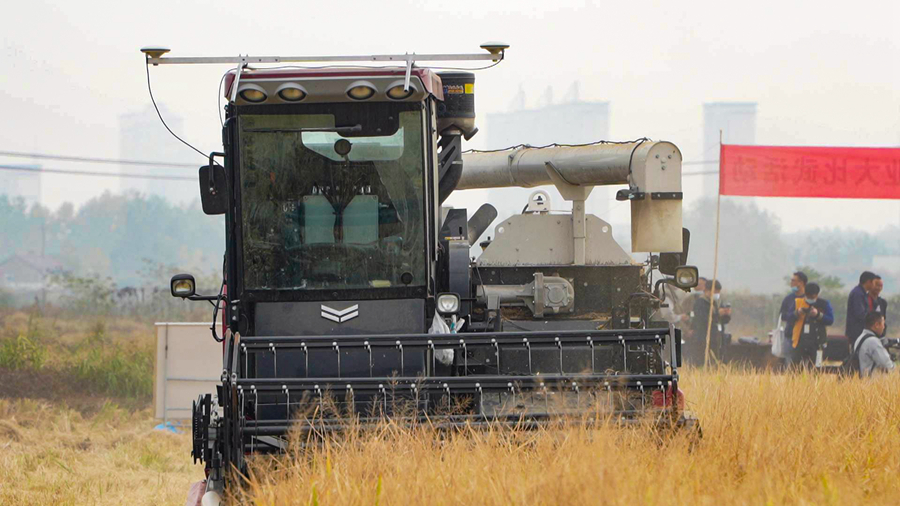 無人駕駛收割機(jī)在田間作業(yè)。趙天攝