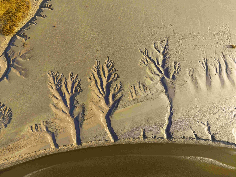 濕地“沙畫(huà)”。單中華攝