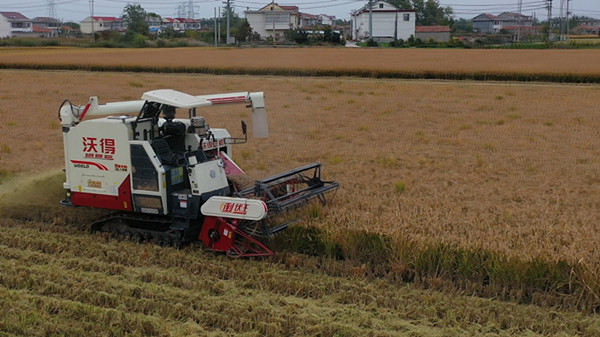 在連云港市魏口村，無人農(nóng)場“耕、種、管、收”四大環(huán)節(jié)已經(jīng)實(shí)現(xiàn)無人化運(yùn)作。江蘇移動供圖