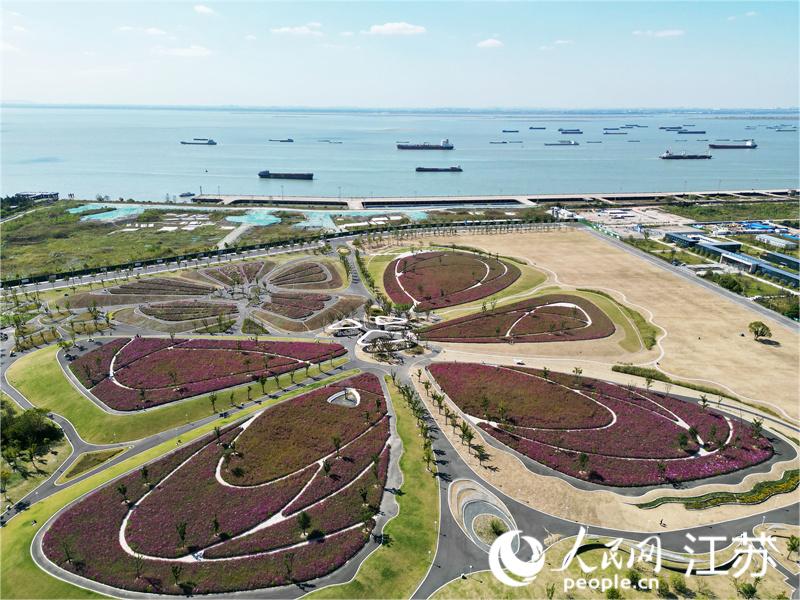 五山地區(qū)濱江花海成了附近居民的“后花園”。人民網(wǎng)記者王繼亮攝