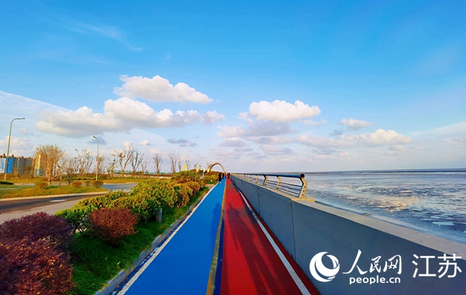 啟東最美海岸線。人民網(wǎng)記者王繼亮攝