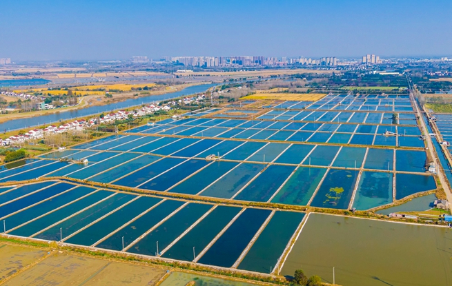 基于物聯(lián)網(wǎng)技術(shù)的數(shù)字漁場(chǎng)。浦口區(qū)委宣傳部供圖