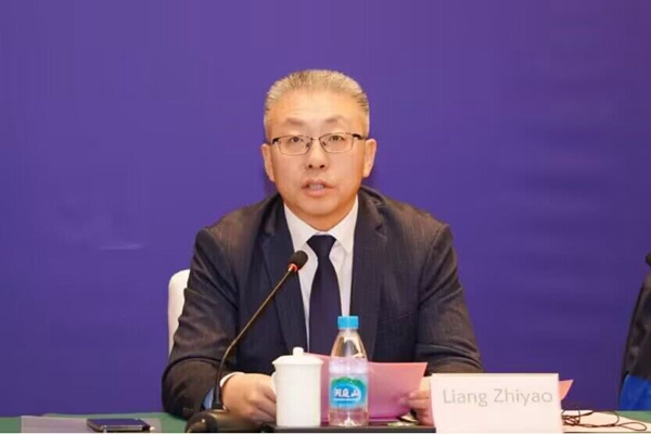 相城區(qū)委常委、蘇州高鐵新城黨工委書記梁智垚作專題推介。蘇州高鐵新城供圖