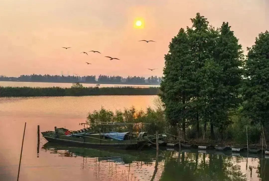 大溪港濕地公園。朱剛?cè)簲z