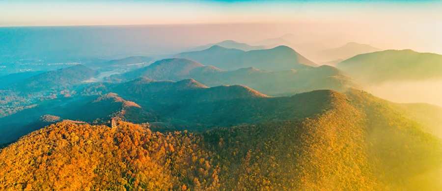 浦口老山國家森林公園。南京市浦口區(qū)文旅局供圖