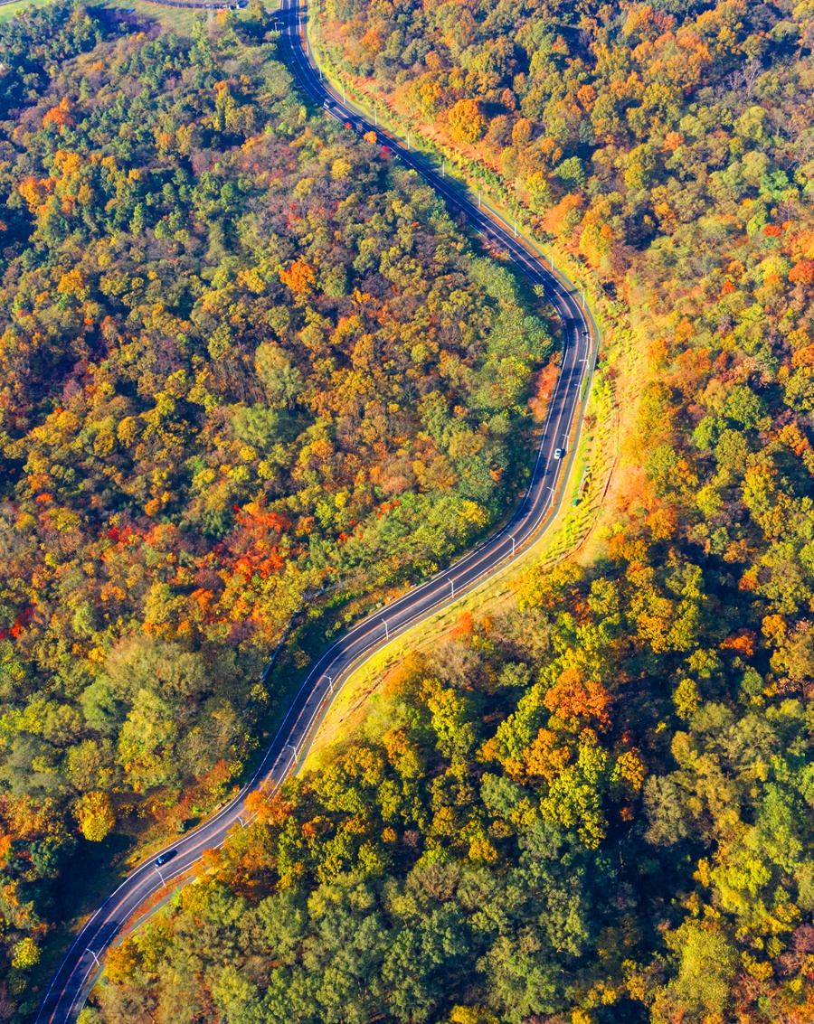 浦口珍七路。南京市浦口區(qū)文旅局供圖