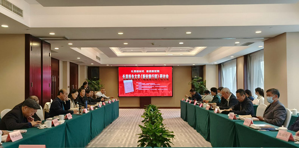 研討會現(xiàn)場。人民網(wǎng) 張瀚天攝