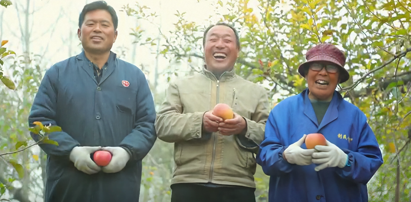 助農(nóng)直播連線豐縣“大沙河果園”果農(nóng)。陸博林?jǐn)z