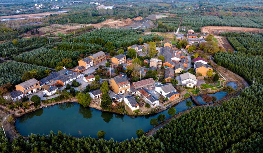 南京市浦口區(qū)新金社區(qū)趙湖組。浦口區(qū)委宣傳部供圖