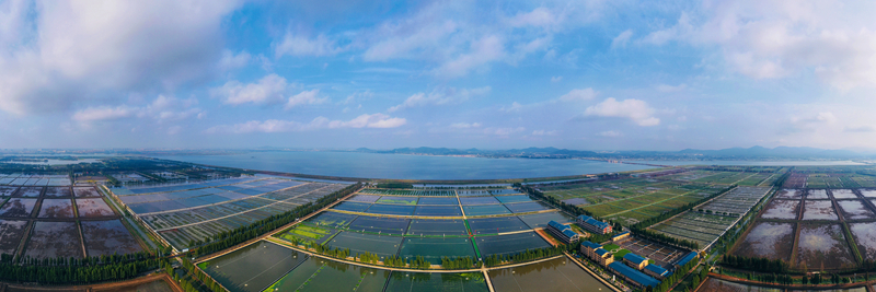 航拍高淳國家現(xiàn)代農(nóng)業(yè)產(chǎn)業(yè)園。高淳區(qū)融媒體中心供圖