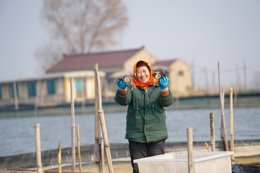 蟹農(nóng)舉起剛撈上來的螃蟹。周社根攝