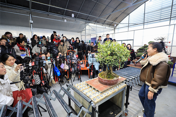 江蘇省沭陽縣扎下鎮(zhèn)藝森園盆景直播基地，數(shù)十名花木電商主播通過矩陣直播與粉絲互動。胡威攝
