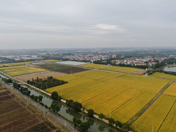 雙游村。受訪者供圖