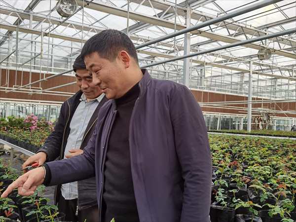 諸新良和農(nóng)戶一起研究花木種植技術(shù)。受訪者供圖